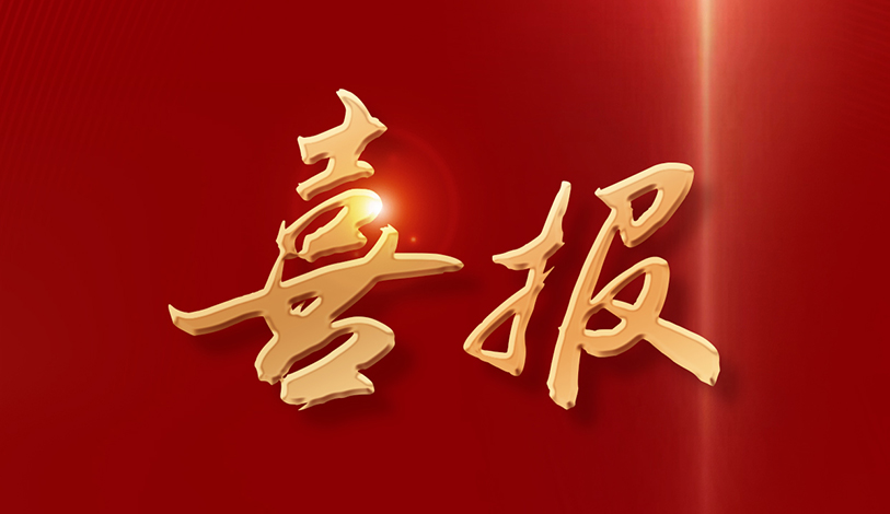 喜讯！宝新能源再度连任2025广东企业500强殊荣！